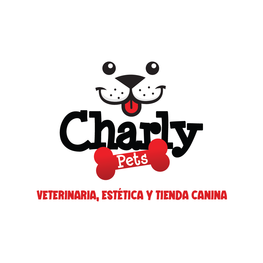 Proyecto 1