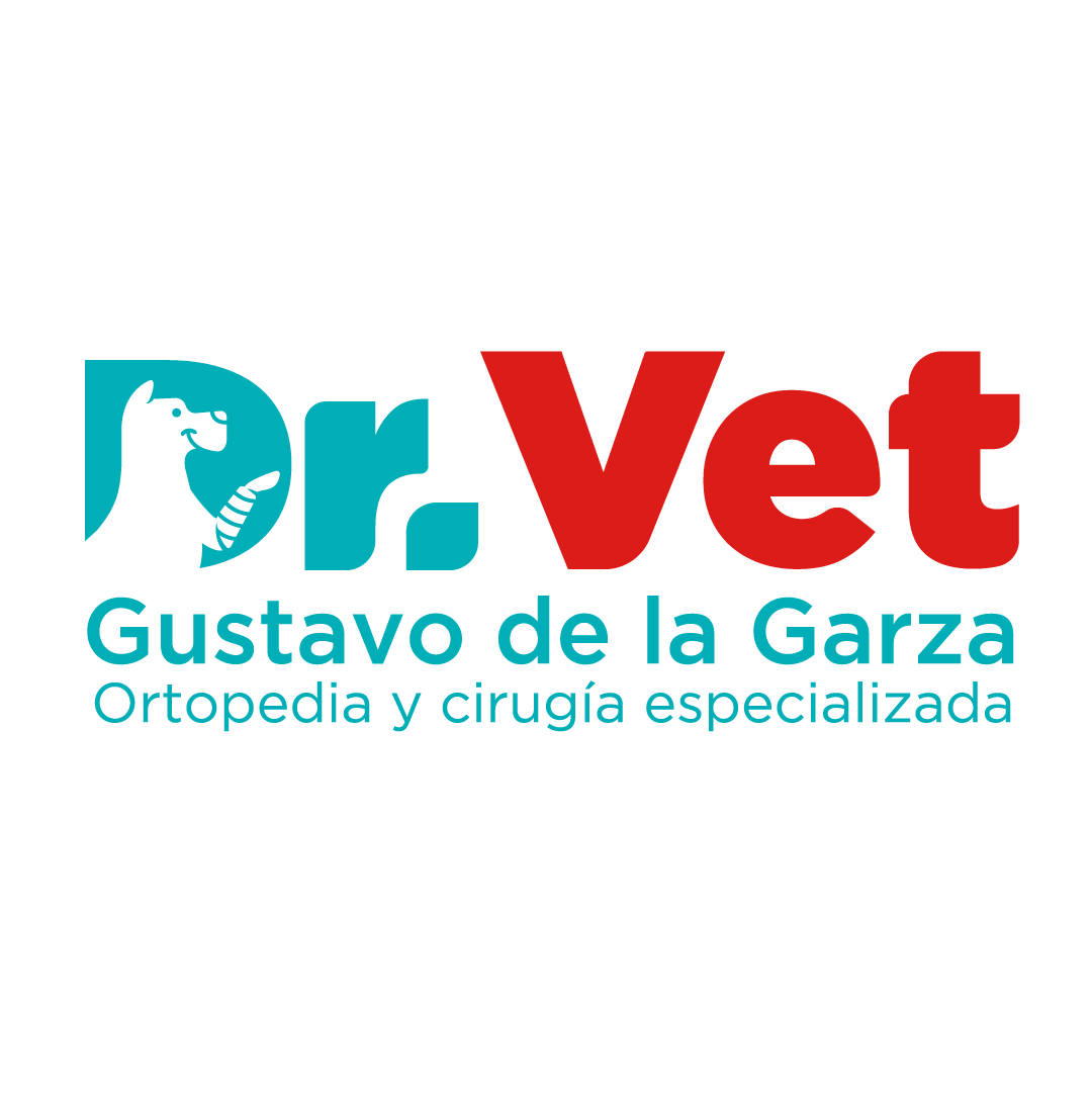 Proyecto 5